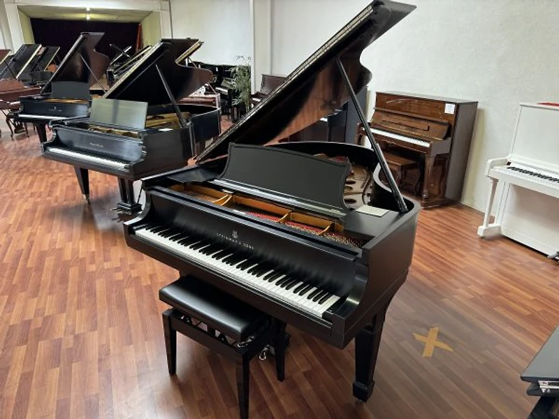 Steinway & Sons Model O
