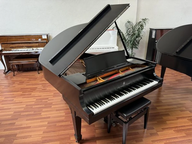 Steinway & Sons Model O