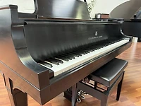Steinway & Sons Model O