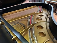 Steinway & Sons Model O