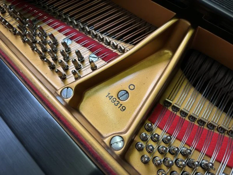 Steinway & Sons Model O