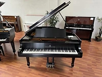 Steinway & Sons Model M