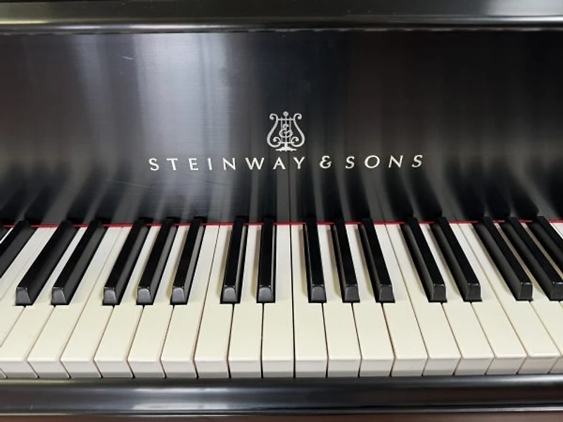 Steinway & Sons Model M