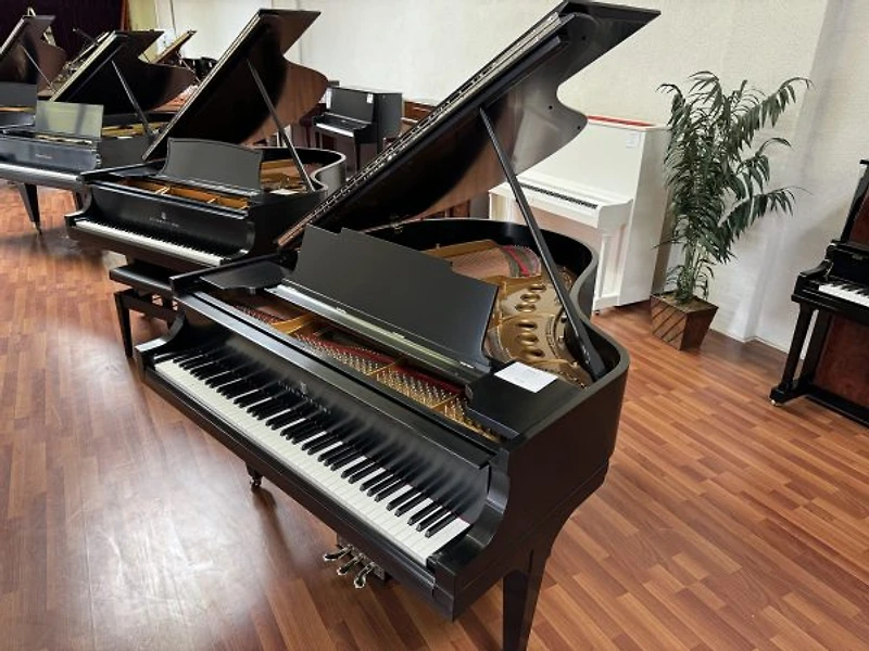 Steinway & Sons Model M