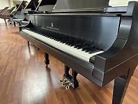 Steinway & Sons Model M