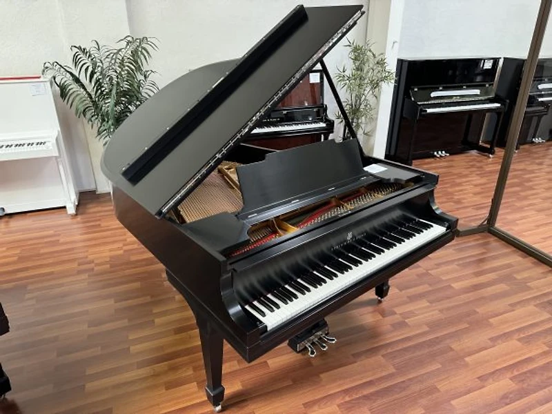 Steinway & Sons Model M