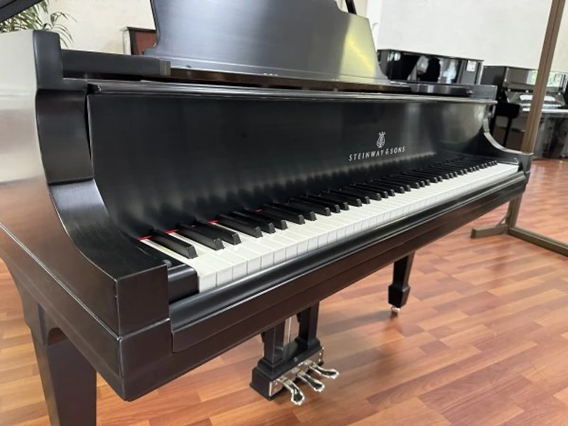 Steinway & Sons Model M
