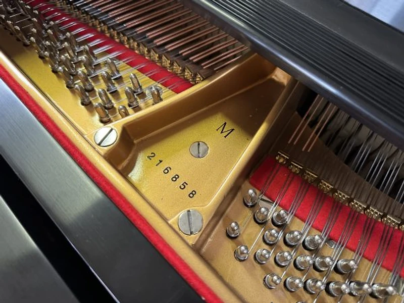 Steinway & Sons Model M