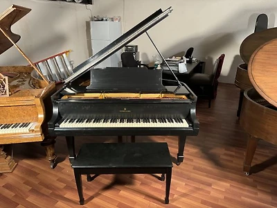 Steinway & Sons Model M