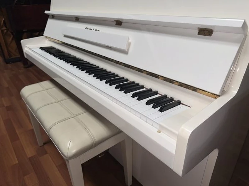 Schafer & Sons VS-40