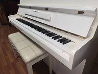 Schafer & Sons VS-40