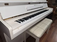 Schafer & Sons VS-40