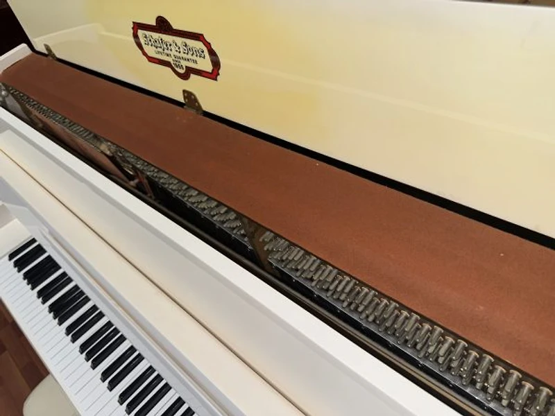 Schafer & Sons VS-40