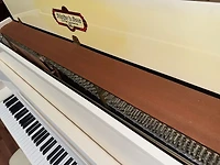 Schafer & Sons VS-40