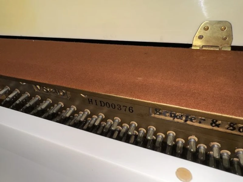 Schafer & Sons VS-40