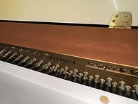 Schafer & Sons VS-40