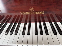 Young Chang Y-208