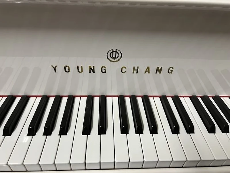 Young Chang G-150