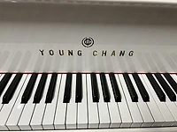 Young Chang G-150