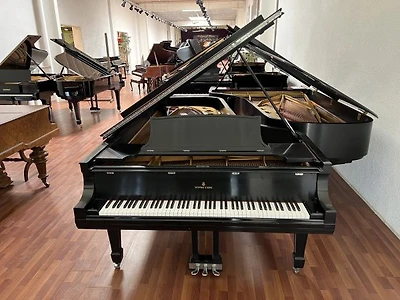 Steinway & Sons Model D