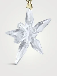 Annual Edition 2025 Little Star Crystal Ornament