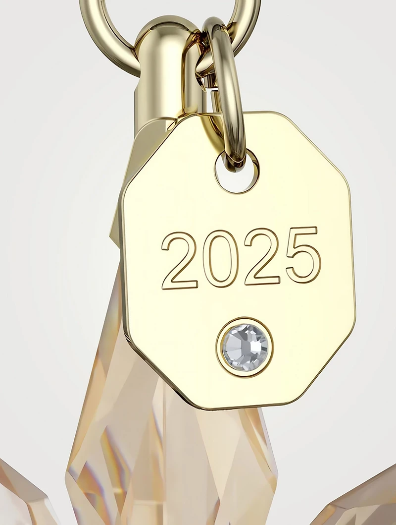 Annual Edition 2025 Festive 3D Crystal Ornament