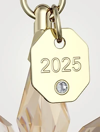 Annual Edition 2025 Festive 3D Crystal Ornament