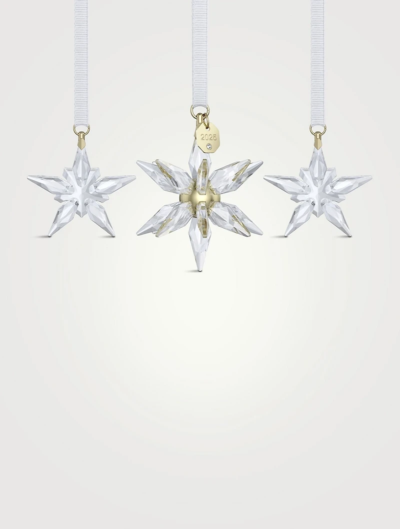 Annual Edition 2025 3D Ornament Crystal Set