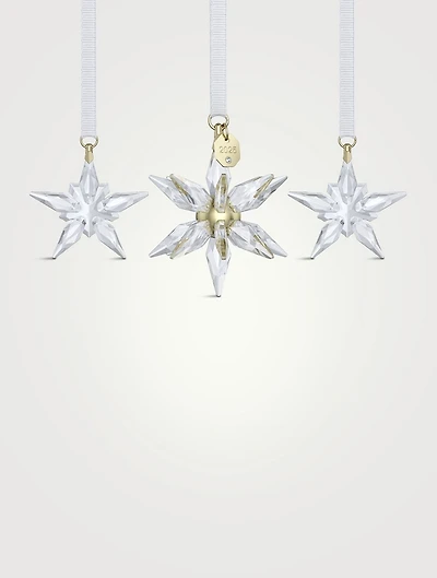 Annual Edition 2025 3D Ornament Crystal Set
