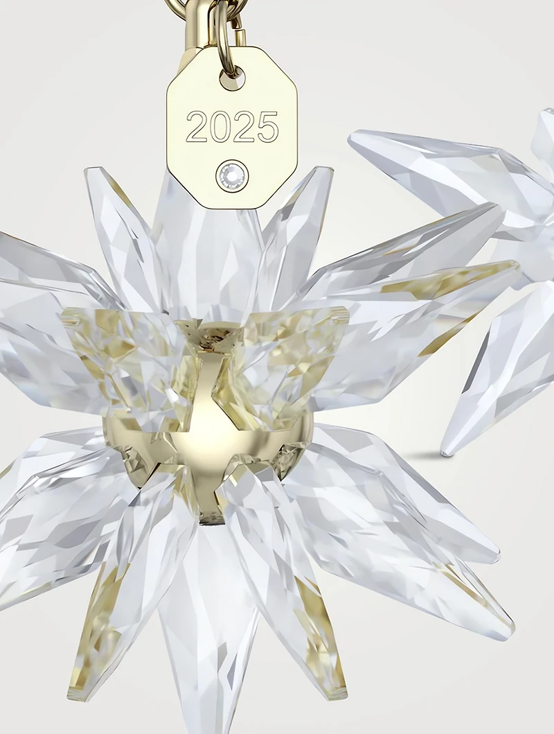Annual Edition 2025 3D Ornament Crystal Set