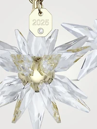 Annual Edition 2025 3D Ornament Crystal Set
