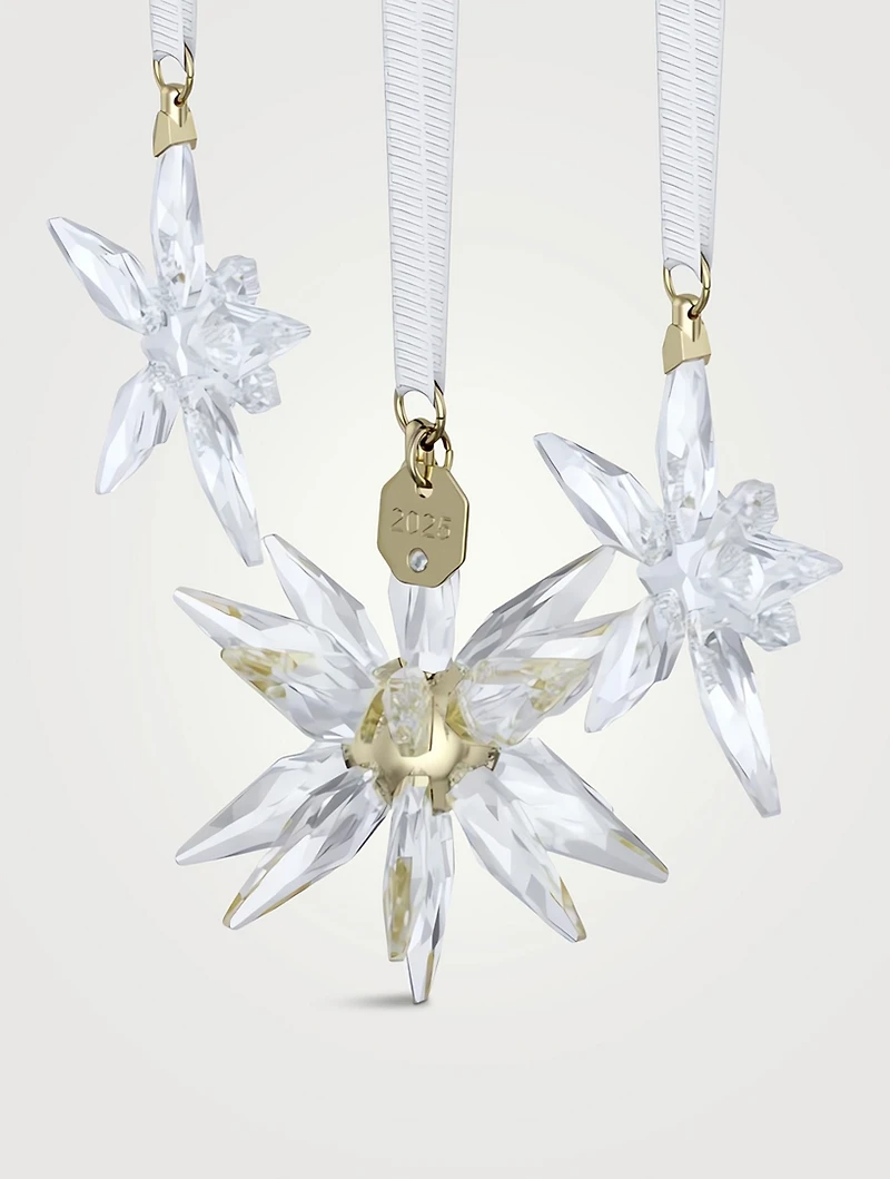 Annual Edition 2025 3D Ornament Crystal Set