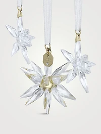 Annual Edition 2025 3D Ornament Crystal Set