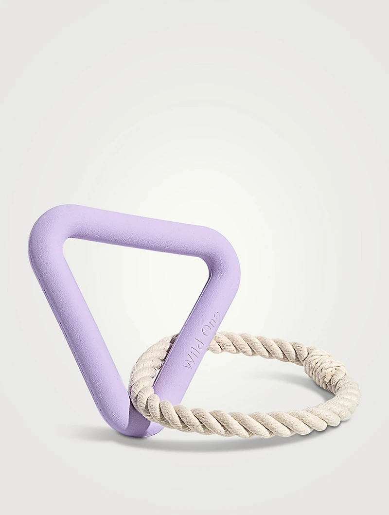 Triangle Tug Dog Toy