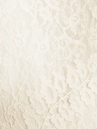 Falconetti Lace Midi Dress