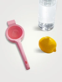 Lemon Juicer