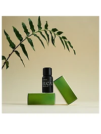Eucalyptus Essential Oil