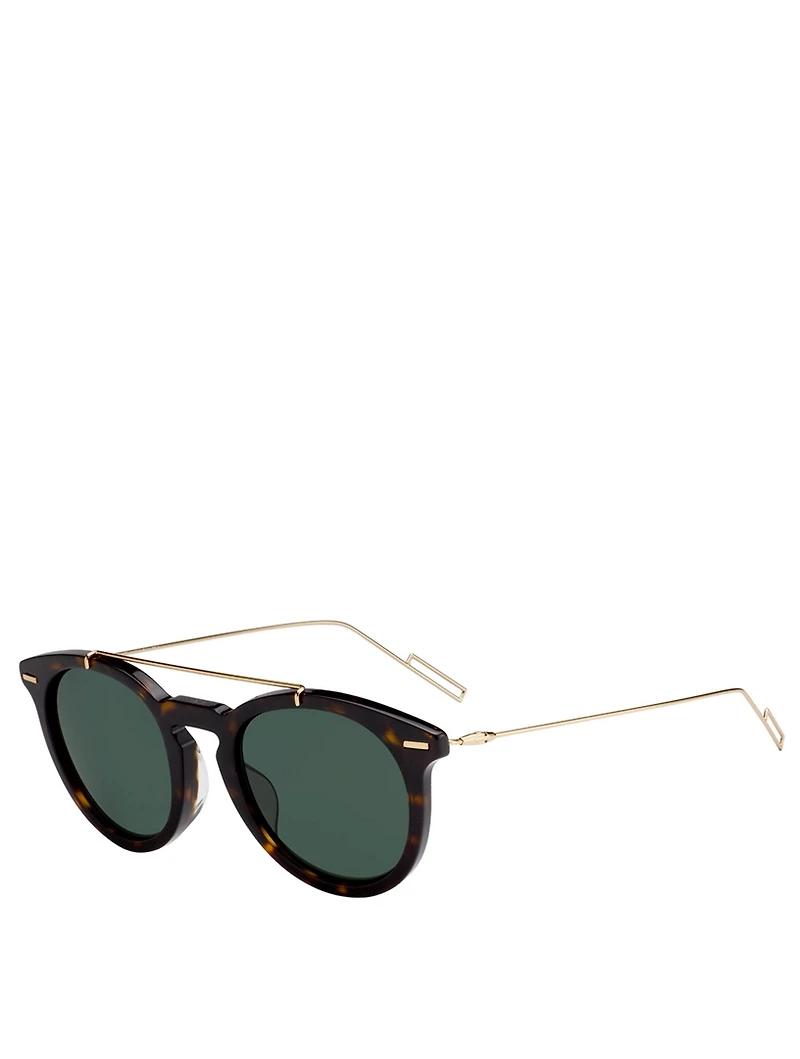 DiorMasterF Round Sunglasses