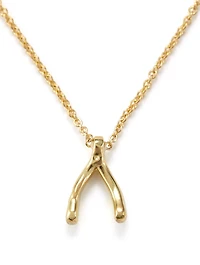 Mini Gold Wishbone Necklace