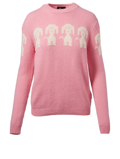 Dog Wool Sweater