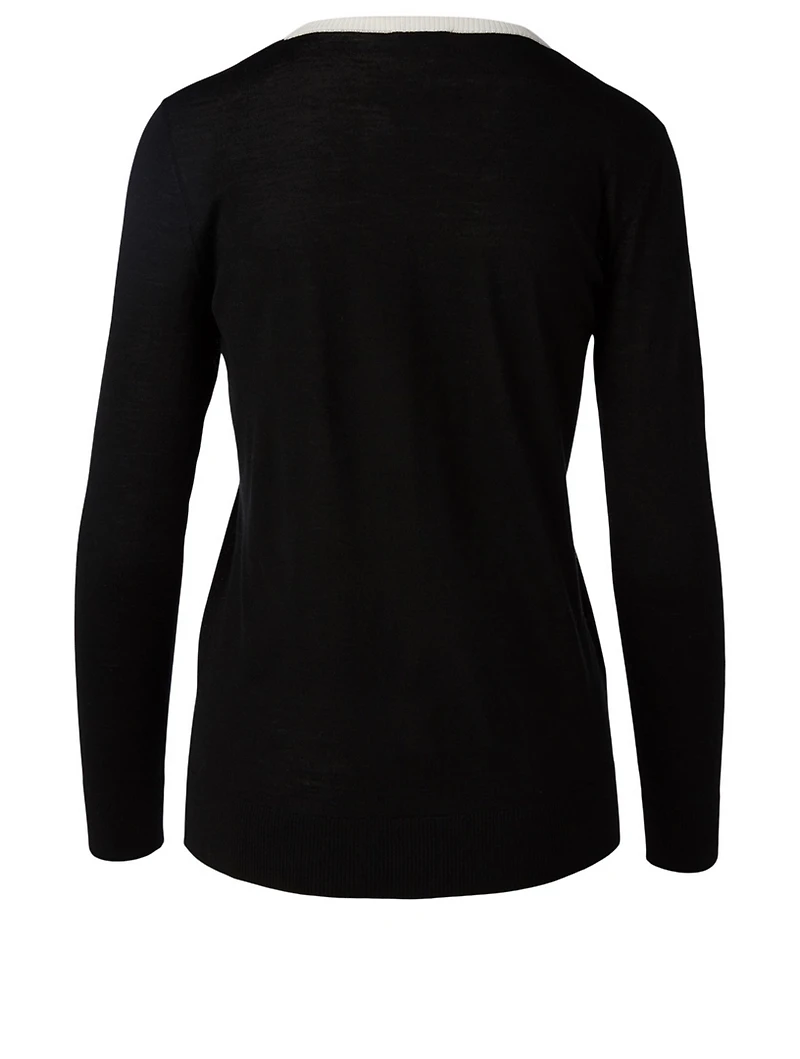 Wool V-Neck Sweater