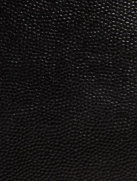 Medium Lou YSL Monogram Palm Leather Camera Bag
