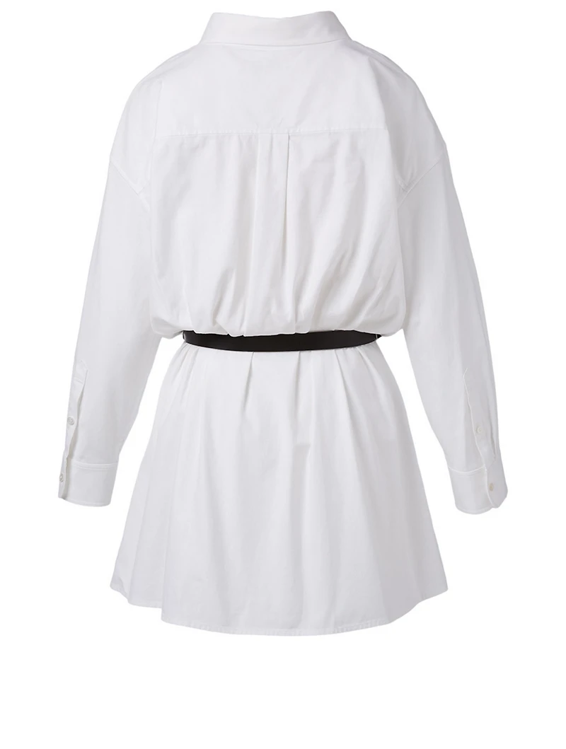 Mini Shirt Dress