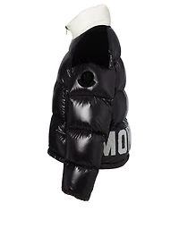 Chouelle Down Jacket