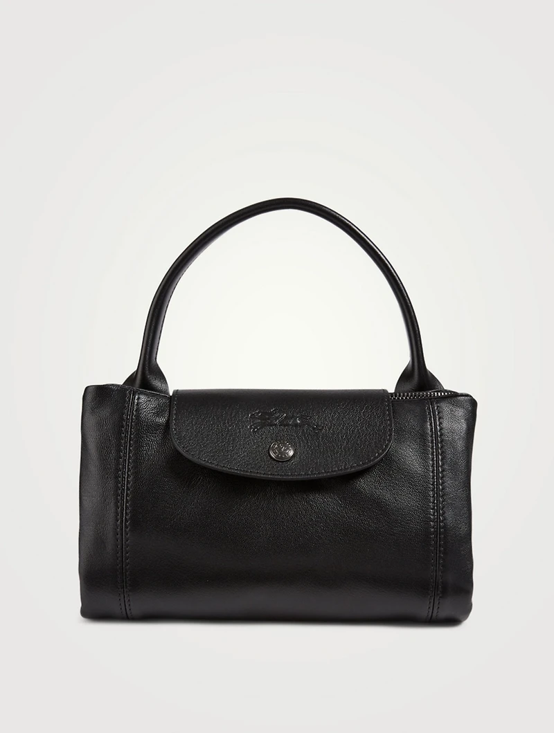 Le Pliage Leather Top Handle Bag