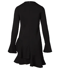 Long-Sleeve Ruffle Mini Dress