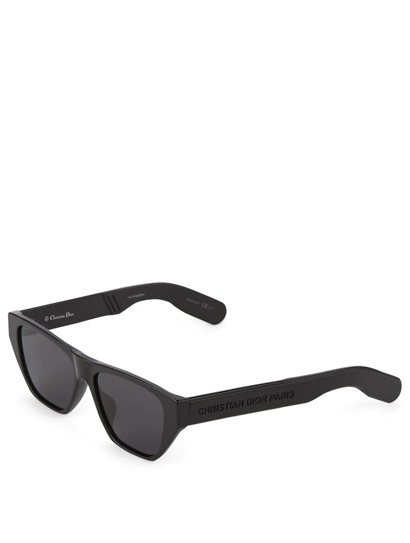 DiorInsideOut2 Cat Eye Sunglasses