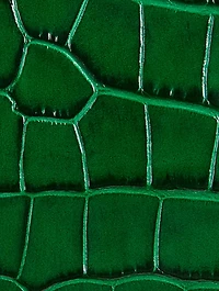 Chloé C Leather Case Bag