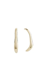Vero Hook Earrings