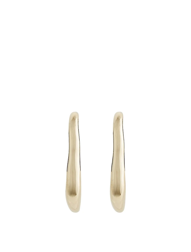 Vero Hook Earrings